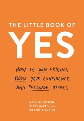 Book Summary: The Little Book Of Yes By Noah Goldstein